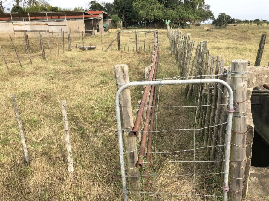 Commercial Property for Sale in Bathurst Rural Eastern Cape